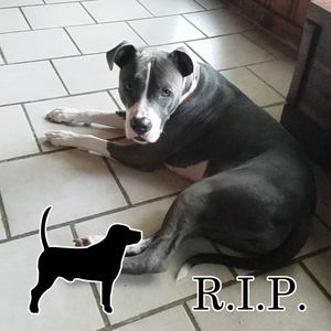 Meet your Posher, Brittaney